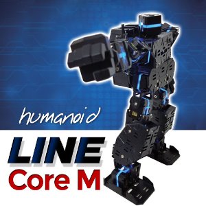 [Line core-m]라인코어엠/휴머노이드로봇/mrt/엠알티/댄스로봇/댄싱로봇